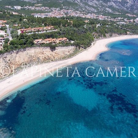 Casa Vacanza Gelsomino Cala Gonone Exterior foto
